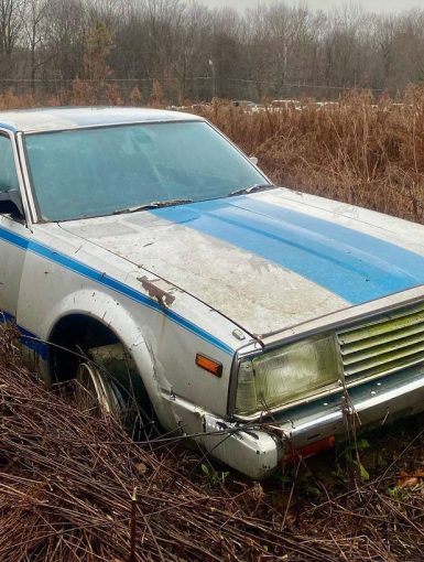 Vintage blue-striped car abandoned in a field.