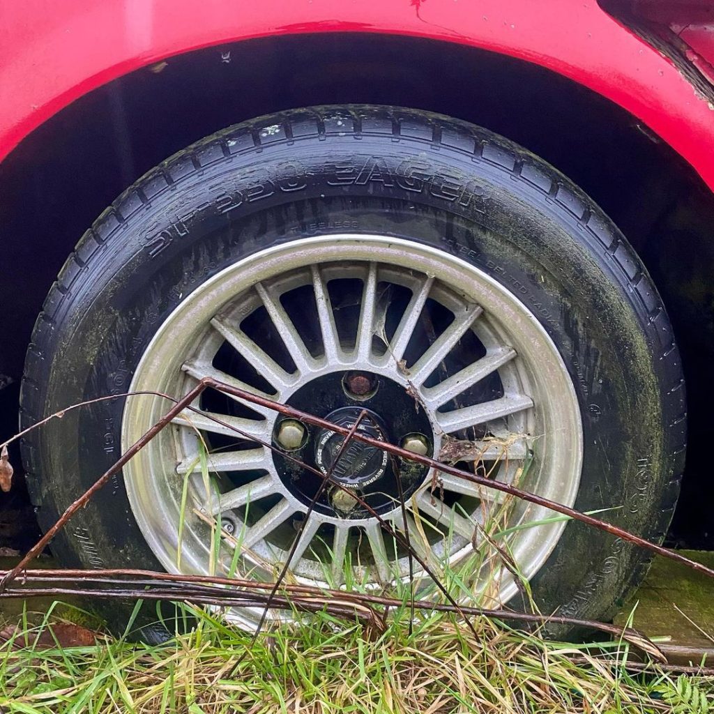 Close-up of an old car wheel with an overgrown tire and rusty spokes, surrounded by grass and twigs.