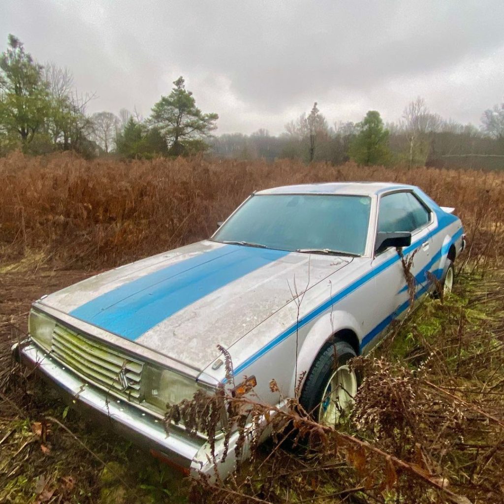 Abandoned vintage car with blue racing stripes sitting in an overgrown field on a cloudy day.